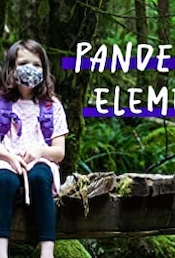 Pandemic Elementary
