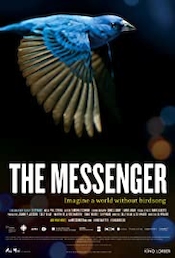 The Messenger