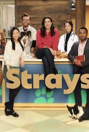 Strays